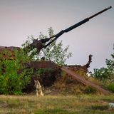 Wolf vor verrostetem Panzer