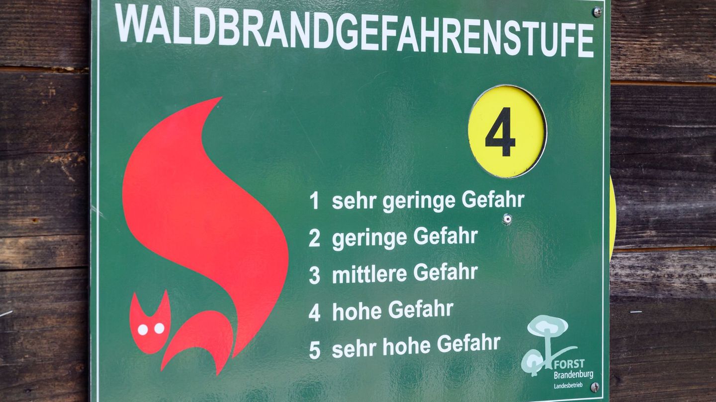 Waldbrandrisiko: Hohe Waldbrandgefahr in Brandenburg – Leichtsinn als Ursache