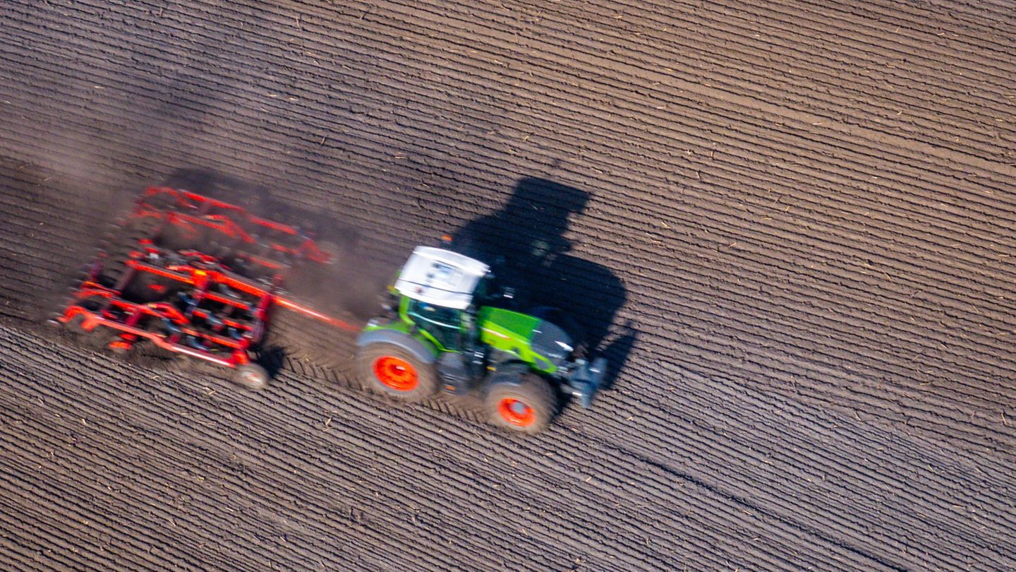 Tarifeinigung: Löhne in der Landwirtschaft steigen in drei Stufen