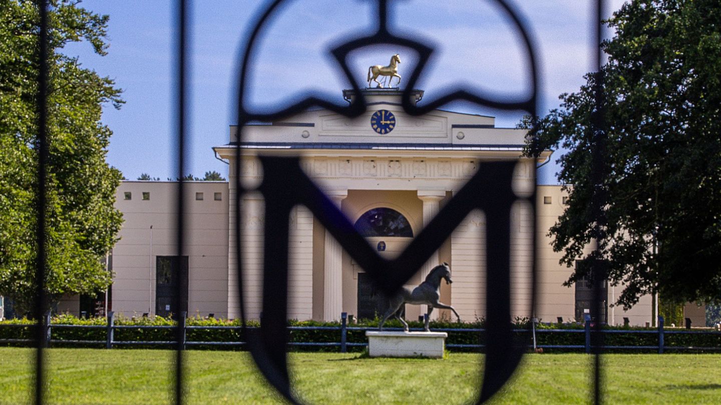 Das Landgestüt Redefin behält seinen Übergangsgeschäftsführer ein Jahr länger. (Archivbild) Foto: Jens Büttner/dpa