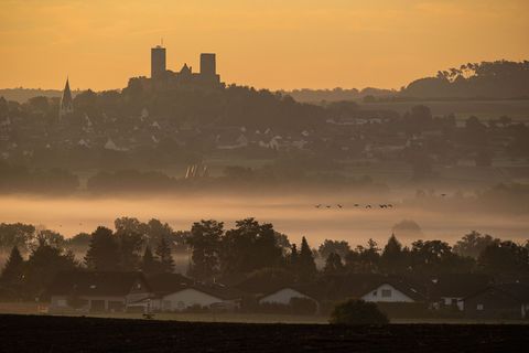 Auf der Burgruine Münzenberg kann das Mittelalter mit den fünf Sinnen erlebt werden. (Archivbild) Foto: Boris Roessler/dpa