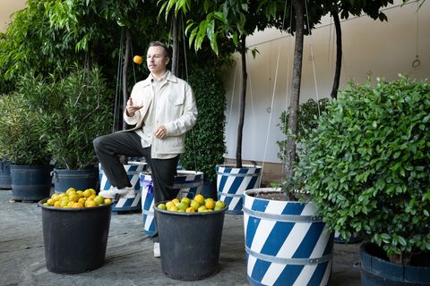 Der Dresdner Tino Piontek alias Purple Disco Machine übernimmt eine Orangenbaum-Patenschaft. Foto: Sebastian Kahnert/dpa