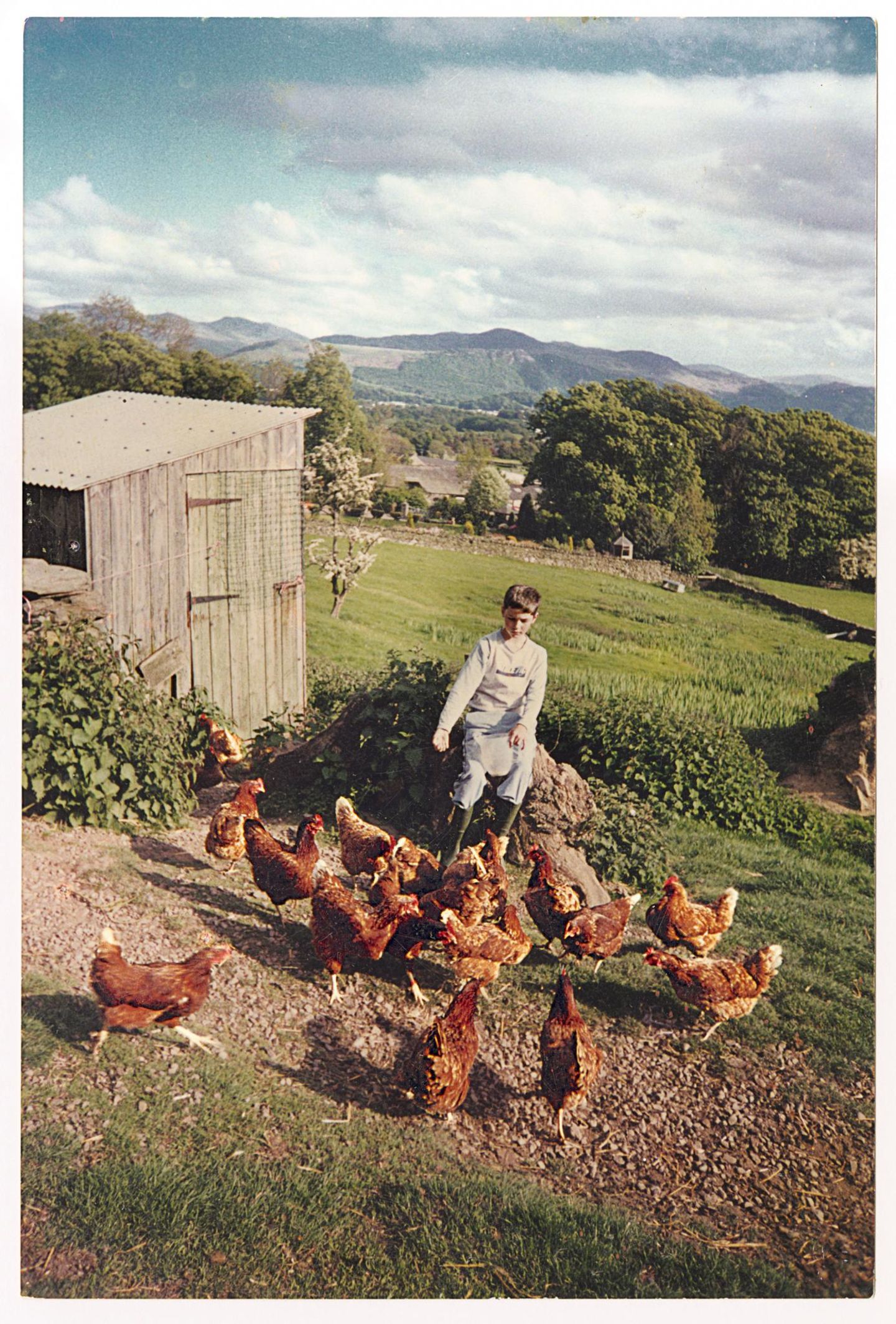 Mit zwölf Jahren fand Arthur ein paar Hennen im Lake District