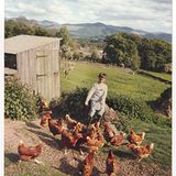 Mit zwölf Jahren fand Arthur ein paar Hennen im Lake District