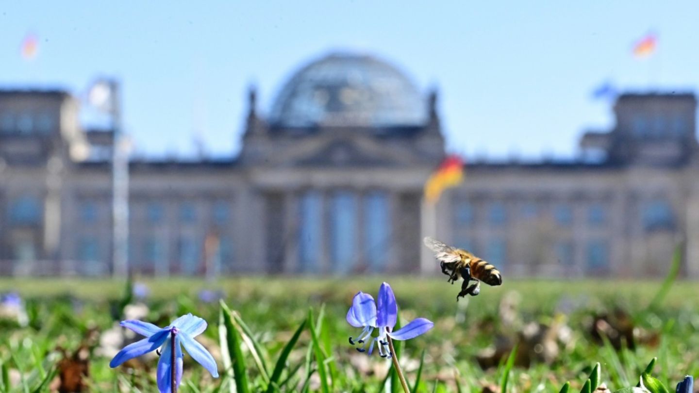 Bundestag in Berlin