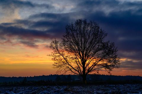 Dicke Regenwolken ziehen in den nächsten Tagen immer wieder über Berlin und Brandenburg. (Symbolbild) Foto: Patrick Pleul/dpa