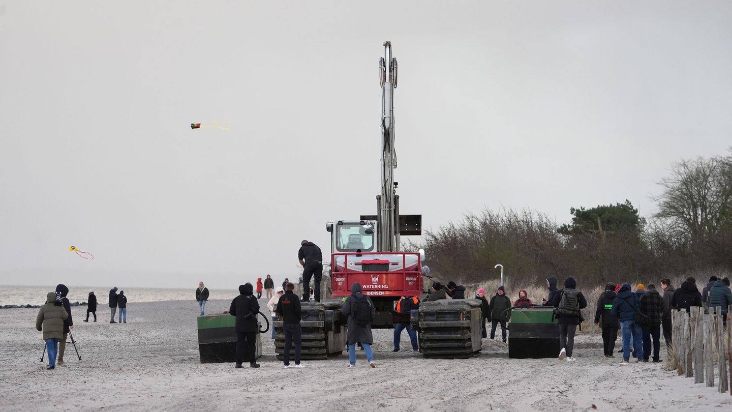 Gestrandeter Buckelwal: Festsitzender Wal - Bagger steht parat