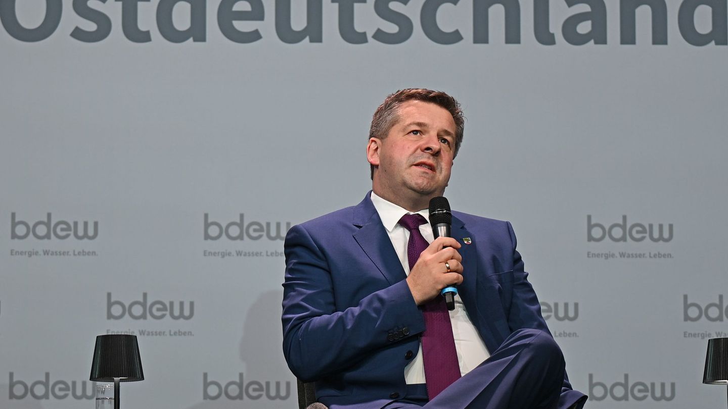 Schulze kritisiert Kartellamt wegen hoher Spritpreise. (Archivbild) Foto: David Hammersen/dpa