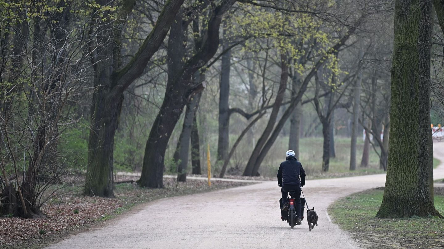 Wolken, Schneeschauer und wenig Sonne: Das Wetter in Hessen zeigt sich die nächsten Tage von seiner wechselhaften Seite (Archivb