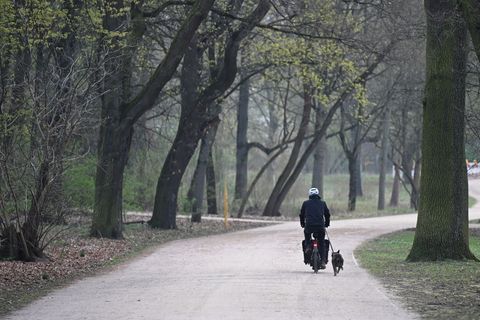 Wolken, Schneeschauer und wenig Sonne: Das Wetter in Hessen zeigt sich die nächsten Tage von seiner wechselhaften Seite (Archivb