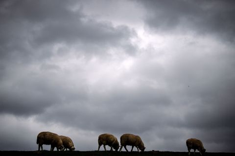 In Niedersachsen und Bremen bleibt es bewölkt. Am Freitag kann für längere Zeit die Sonne rauskommen. (Symbolbild) Foto: Sina Sc