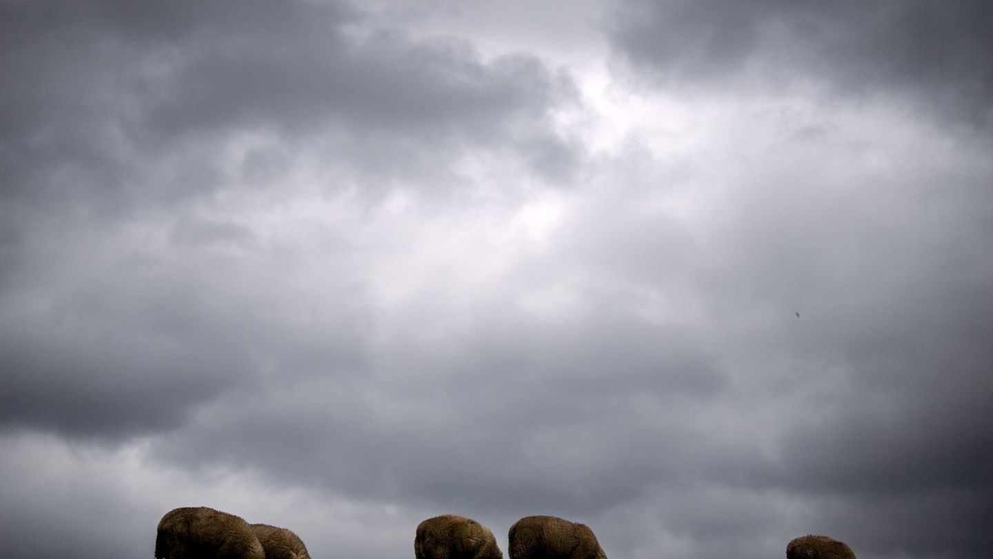 In Niedersachsen und Bremen bleibt es bewölkt. Am Freitag kann für längere Zeit die Sonne rauskommen. (Symbolbild) Foto: Sina Sc