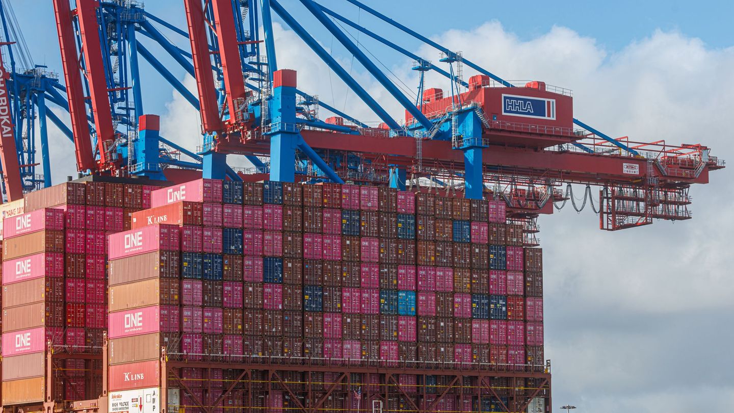 Mehr Umsatz, aber trotzdem kaum Gewinn - die Hamburger Hafen und Logistik AG (HHLA) will deshalb für das vergangene Geschäftsjah