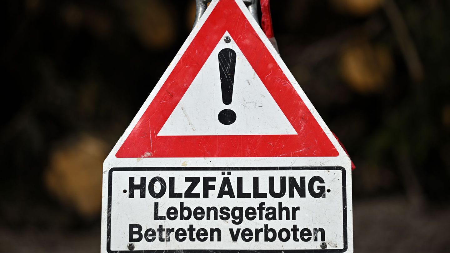 Urteile: "Achtung Baumfällarbeiten" reicht nicht - Schmerzensgeld