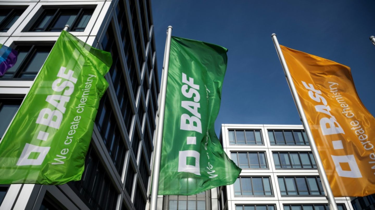 Chemiekonzern BASF eröffnet riesiges neues Werk in China