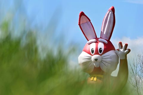 Osterhasenfigur auf einem Feld in Brandenburg