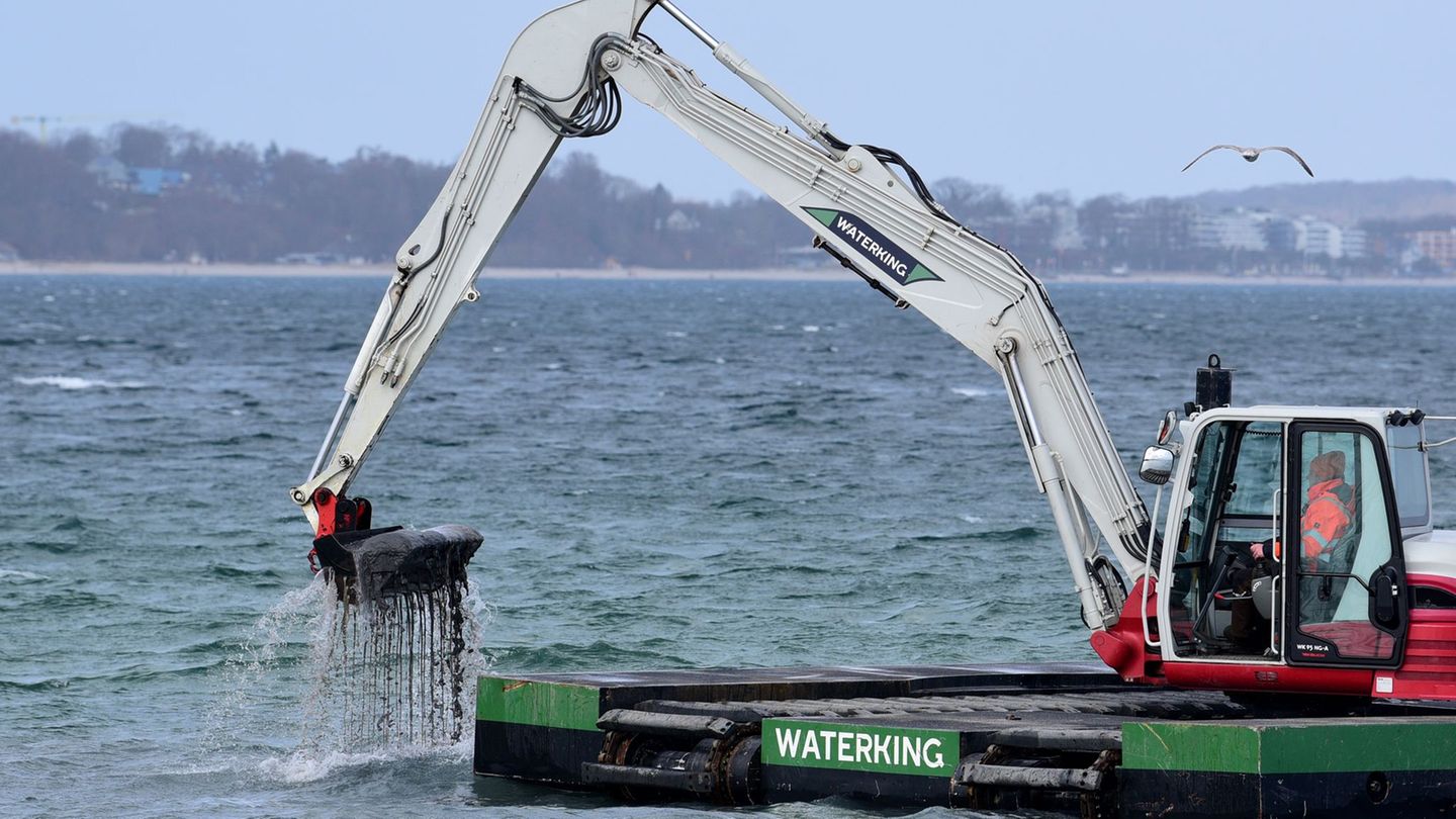 Der Bagger gräbt eine Rinne für den gestrandeten Wal. Foto: Daniel Bockwoldt/dpa