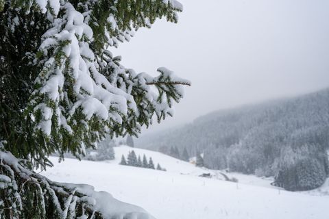 Am Wochenende können stellenweise wieder Ski und Schlitten ausgepackt werden. Foto: Silas Stein/dpa