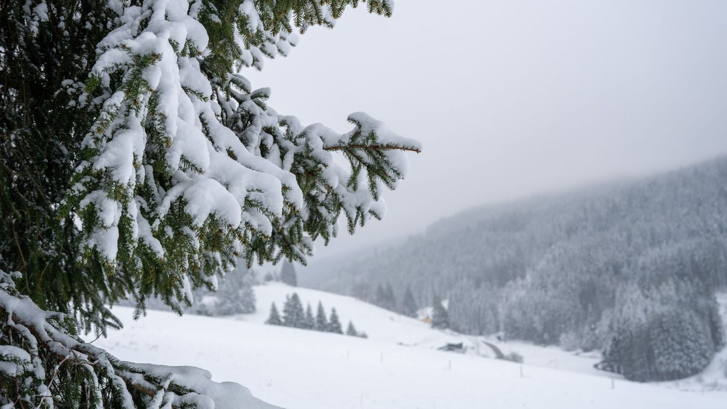 Wetter: Bis zu 20 Zentimeter Neuschnee: Hier öffnen wieder Skilifte