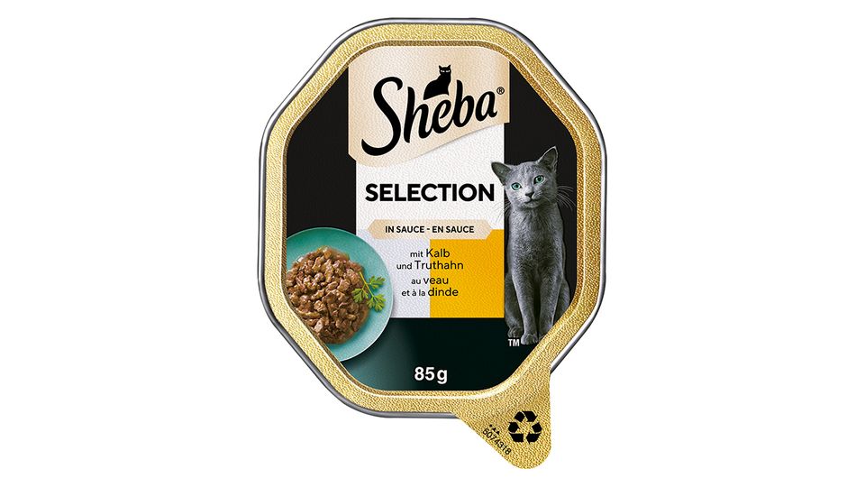 Gewinnspiel: Aurel Mertz & SHEBA® zeigen, wie Sie die Bindung zu Ihrer Katze stärken