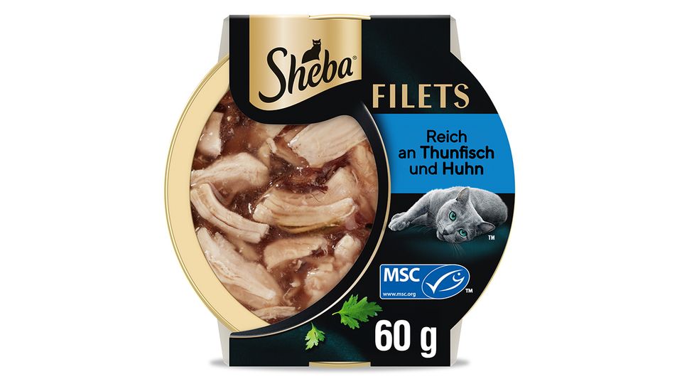 Gewinnspiel: Aurel Mertz & SHEBA® zeigen, wie Sie die Bindung zu Ihrer Katze stärken