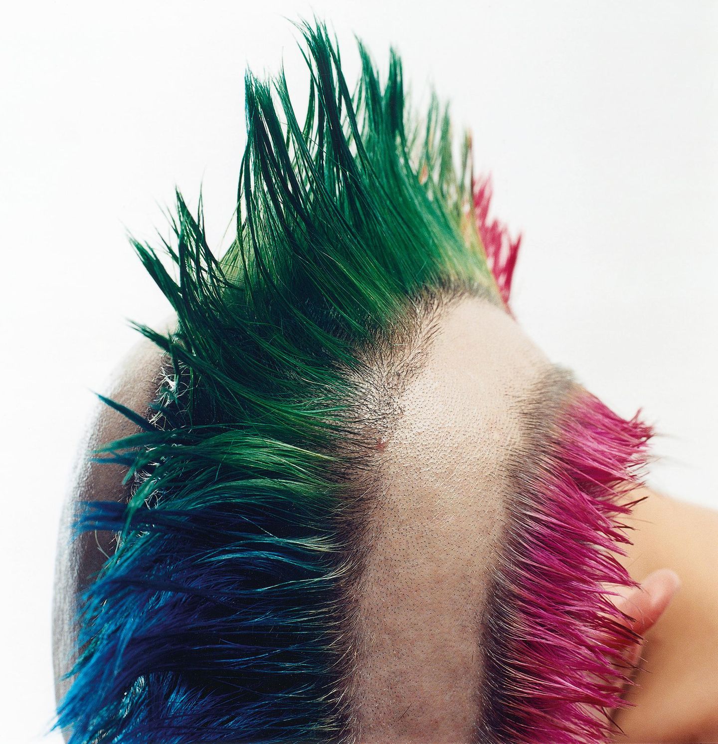 Haare: Herlinde Koelbl "Punk"