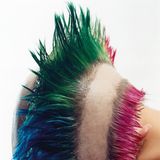 Haare: Herlinde Koelbl "Punk"