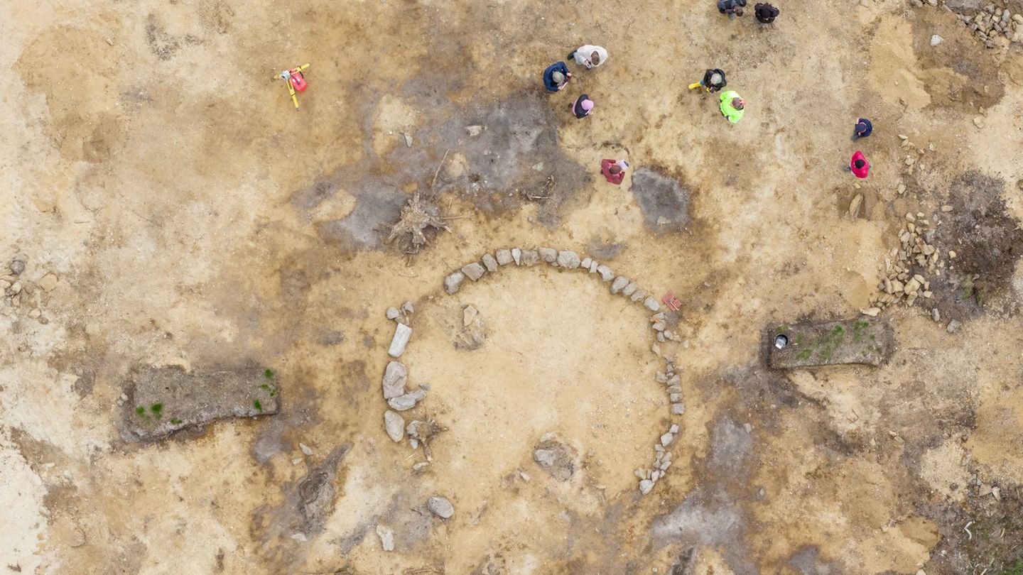 In der Laußnitzer Heide sind bei Ausgrabungen Hügelgräber aus der Jungsteinzeit entdeckt worden. Foto: Sebastian Kahnert/dpa