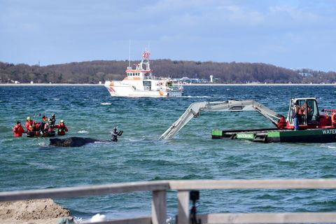 Der Schwimmbagger arbeitet direkt um den gestrandeten Wal herum. Foto: Daniel Bockwoldt/dpa