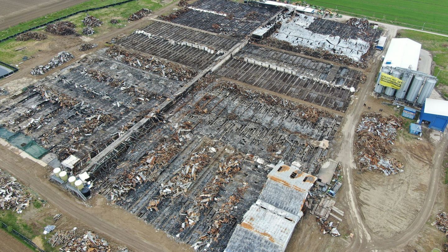 Zehntausende Tiere verendeten 2021 beim Brand in Alt Tellin. (Archivbild) Foto: Stefan Sauer/dpa-Zentralbild/dpa