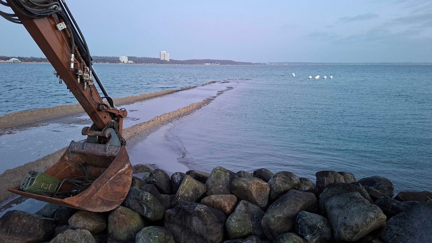 Newsblog: Buckelwal wieder gesichtet – Schiffseskorte ins offene Meer