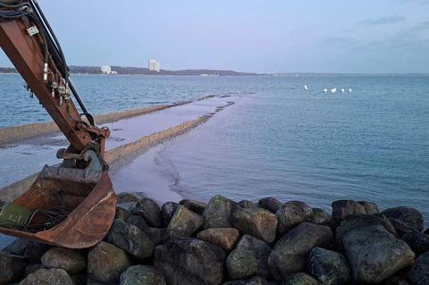 Am Freitagmorgen war der Wal am Timmendorfer Strand nicht mehr zu sehen