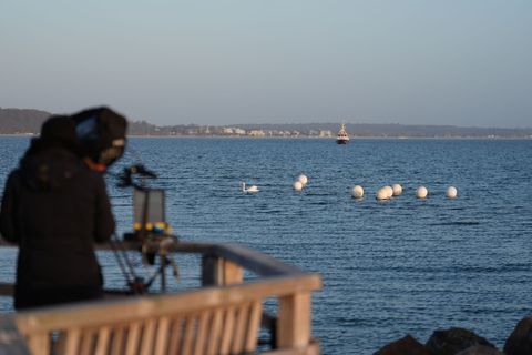 Das Tier ist an der Ostseeküste vor Timmendorfer Strand nicht mehr zu sehen. Foto: Marcus Brandt/dpa