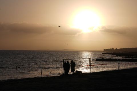 Am Morgen gab es von dem Buckelwal an der Küste vor Timmendorfer Strand zunächst keine Spur. Foto: Marcus Brandt/dpa