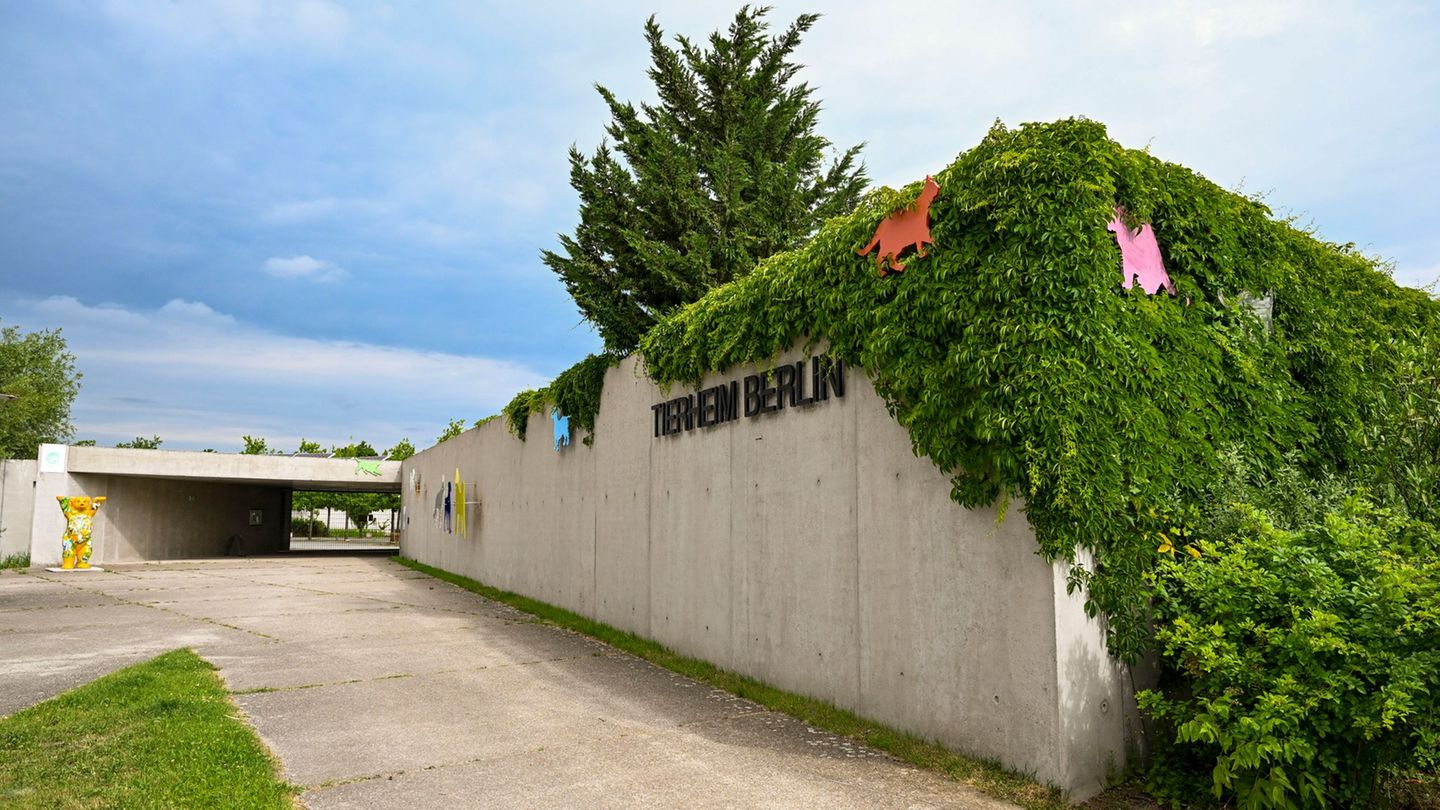 Ab Samstag kann das Vogelhaus des Tierheims wieder besucht werden. (Archivbild) Foto: Jens Kalaene/dpa