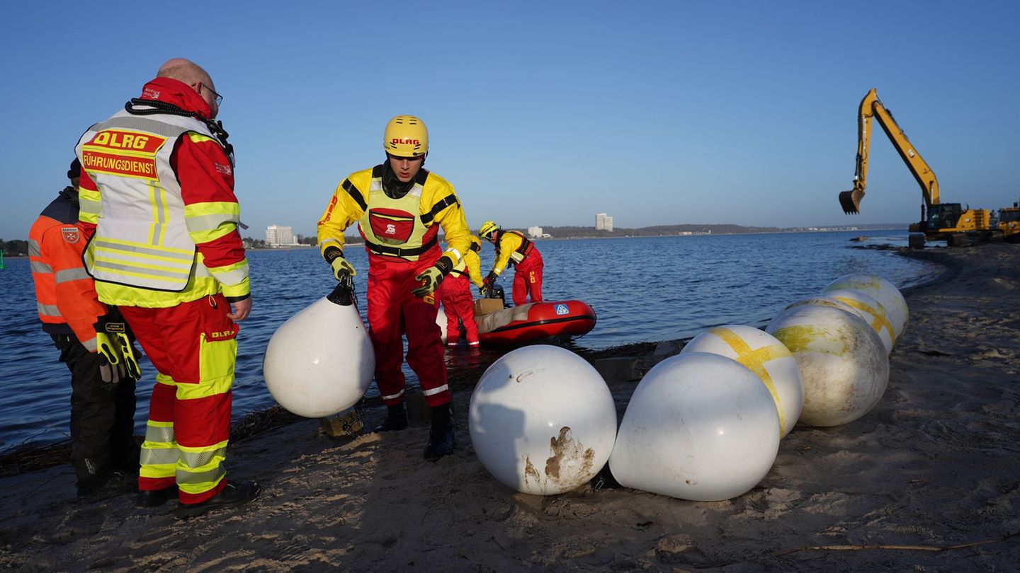 Experten und Helfer waren tagelang im Einsatz, um das gestrandete Tier zu retten. Foto: Marcus Brandt/dpa
