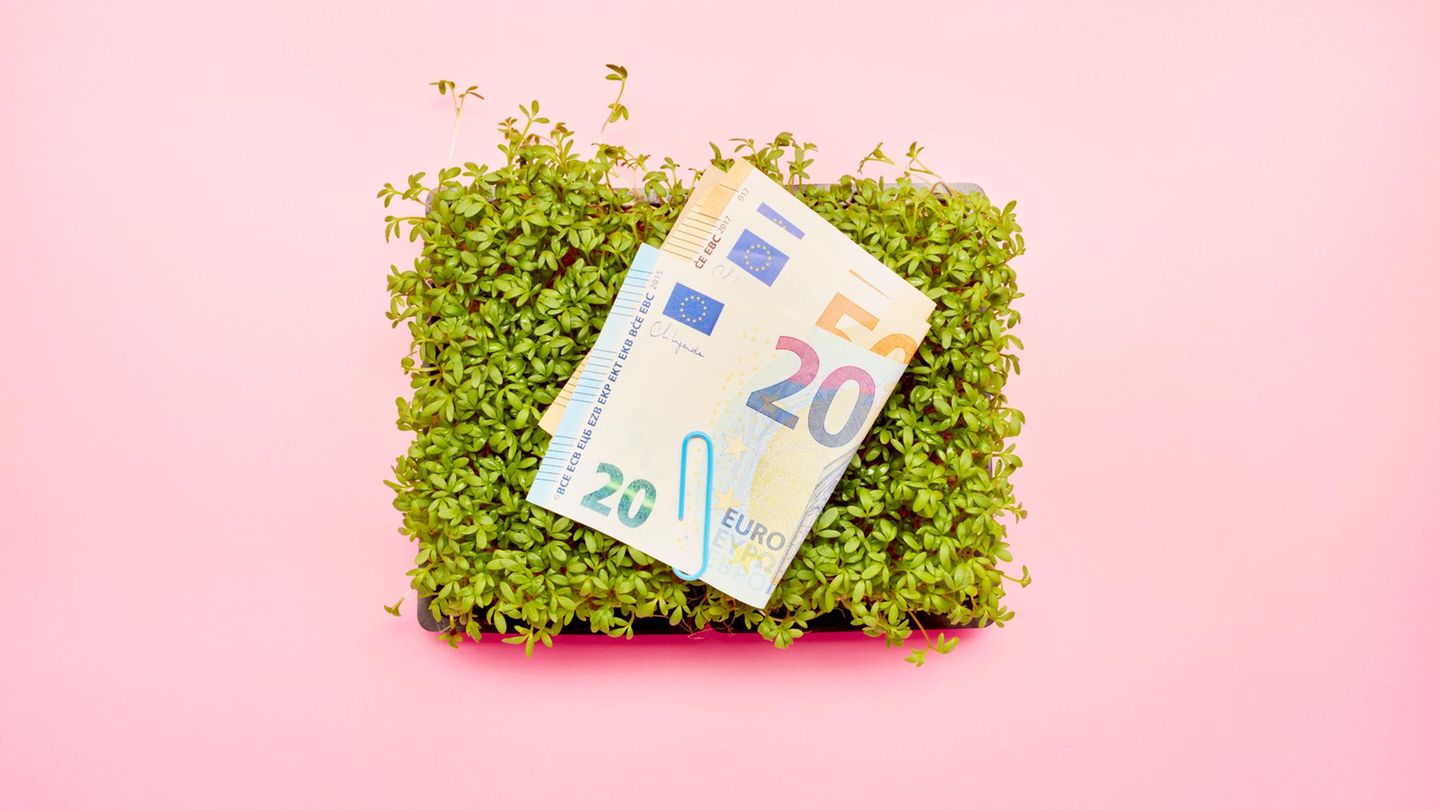 Das Vorsorgedepot verspricht attraktive Renditen durch hohe Zuschüsse (Symbolbild)