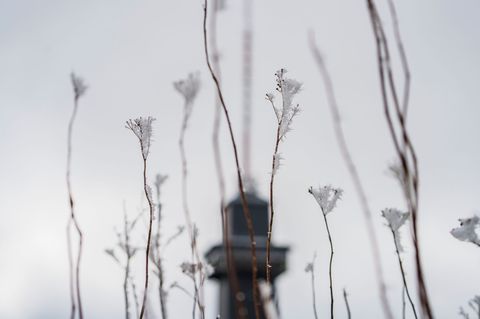 Das Wetter zum Wochenende wird wechselhaft. Foto: Andreas Arnold/dpa