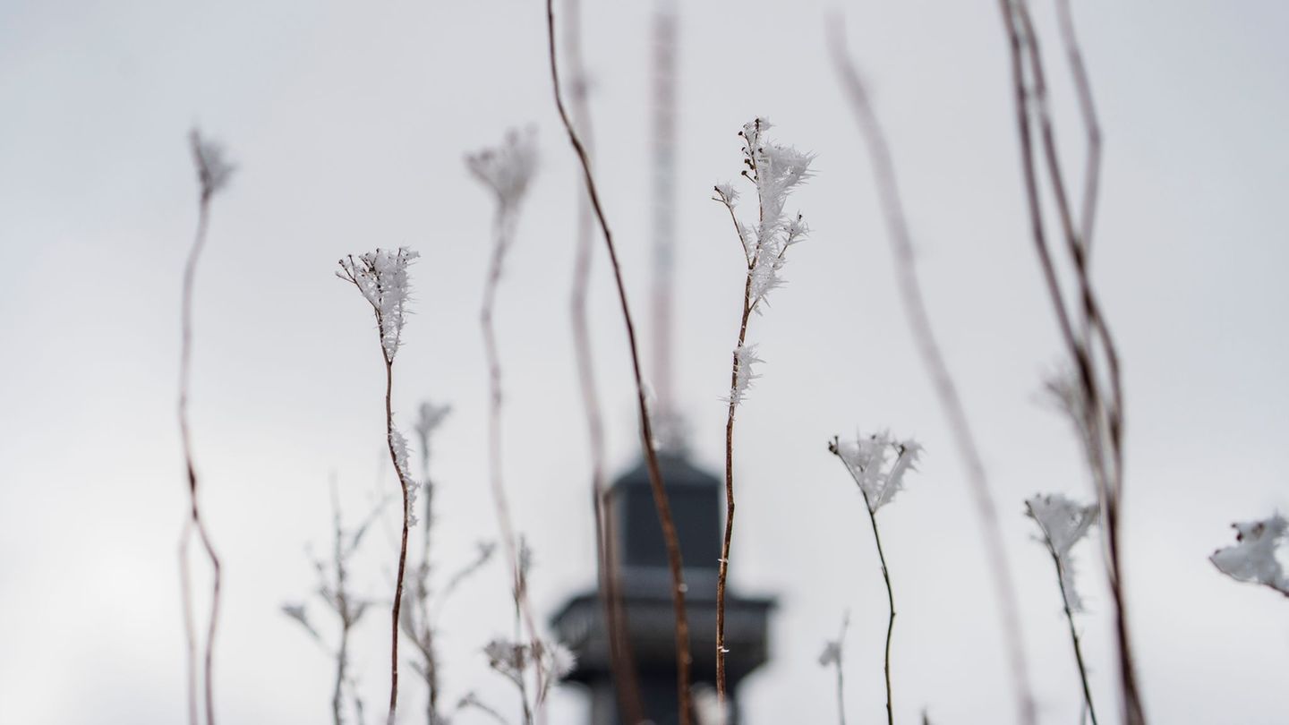 Das Wetter zum Wochenende wird wechselhaft. Foto: Andreas Arnold/dpa
