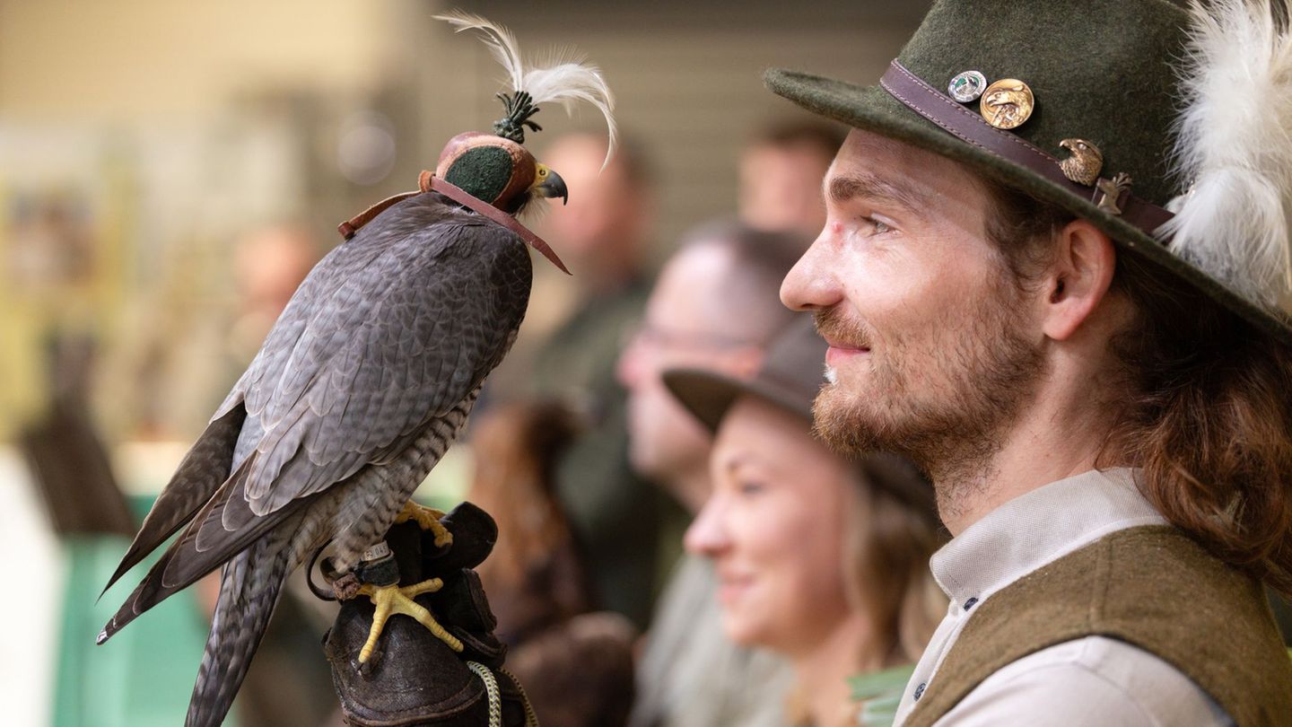 Die 25. Auflage der Messe "Reiten-Jagen-Fischen" lockt unter anderem mit Vorführungen von Falknern nach Erfurt. Foto: Michael Re
