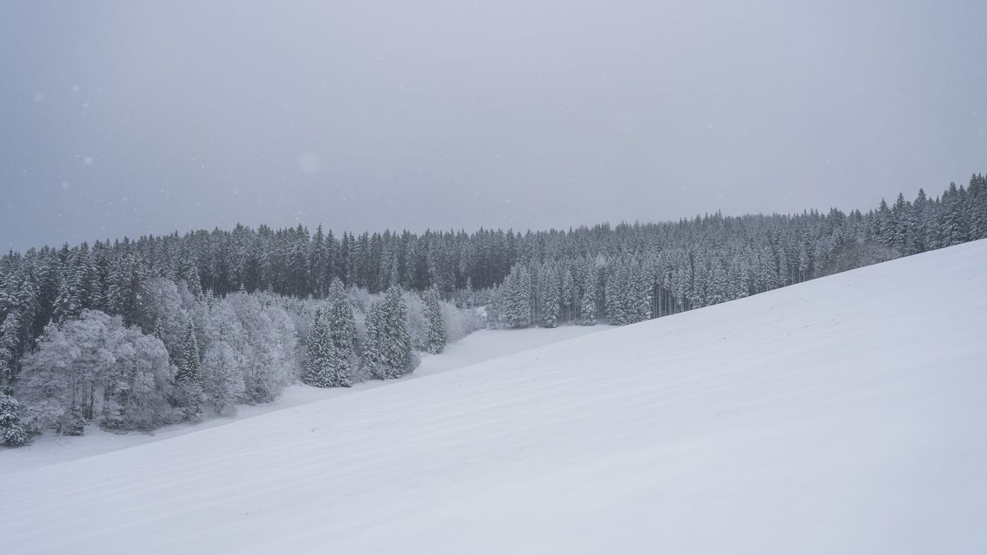 Erneuter Schneefall: Wo im Schwarzwald wieder Skifahren möglich ist