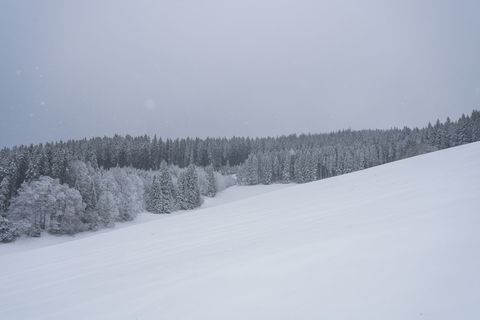 Dank Neuschnee öffnen einige Skilifte erneut. (Archivbild) Foto: Silas Stein/dpa