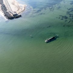 Luftaufnahme eines Buckelwals im flachen Wasser der Ostsee