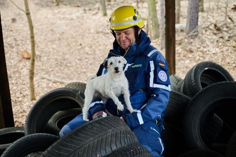 Etwa 90 Hunde sind bei dem Vernetzungstreffen in Berlin mit dabei. Foto: Annette Riedl/dpa