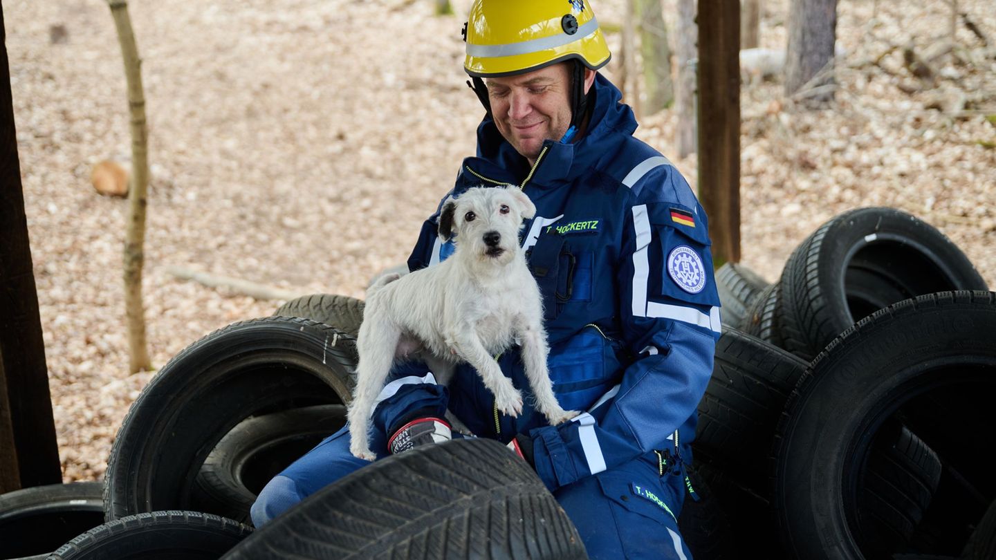 Etwa 90 Hunde sind bei dem Vernetzungstreffen in Berlin mit dabei. Foto: Annette Riedl/dpa