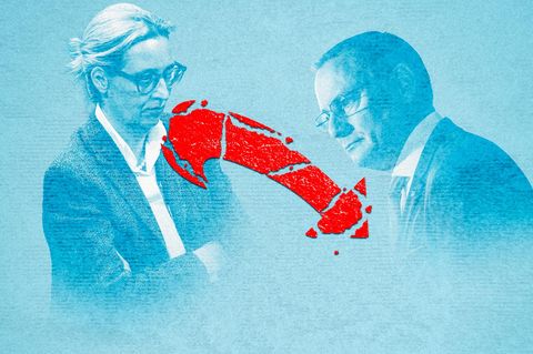 Montage: Chruppala und Weidel hinter einem umgedrehten und zebrochenen AfD-Pfeil