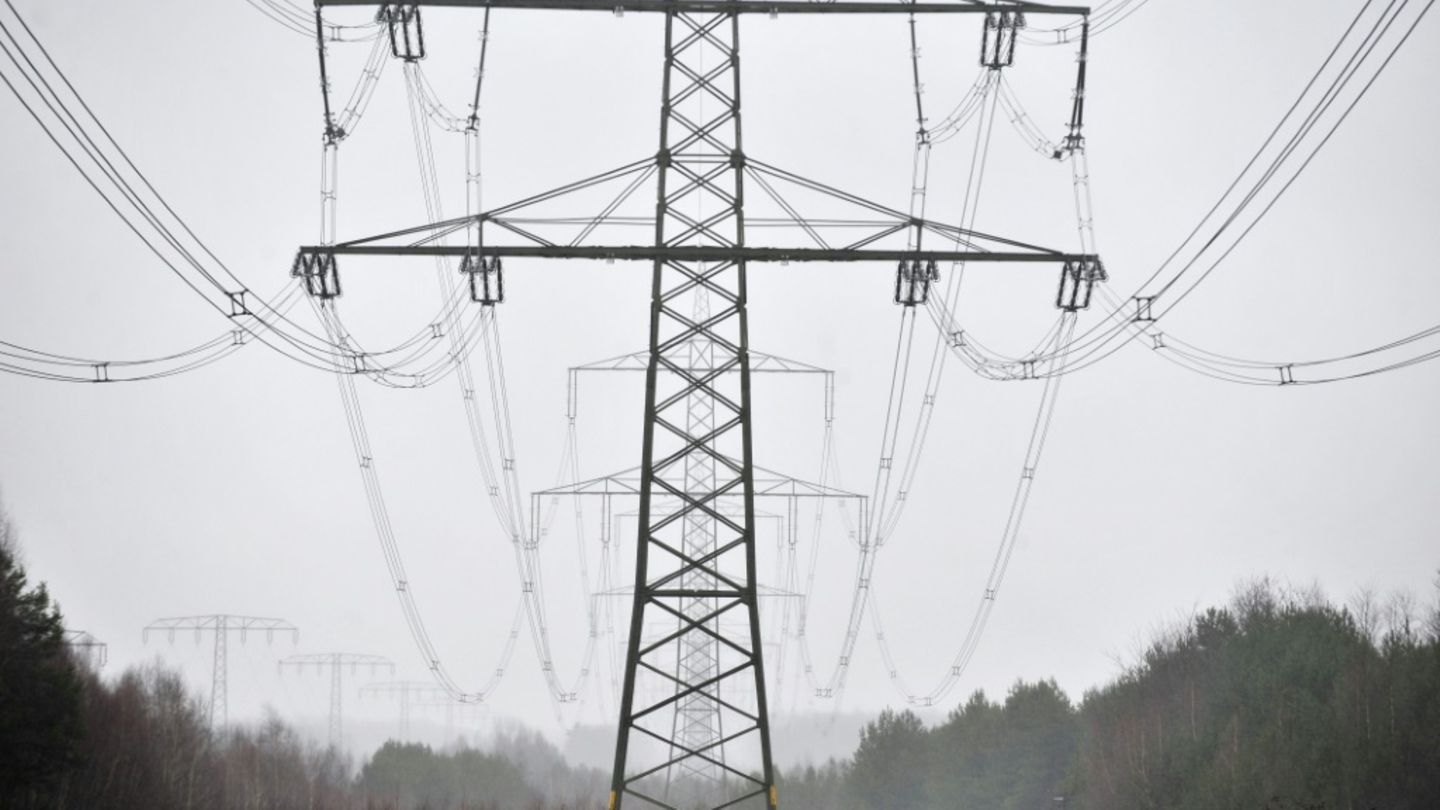 Energieminister der Länder drängen auf Senkung der Stromsteuer