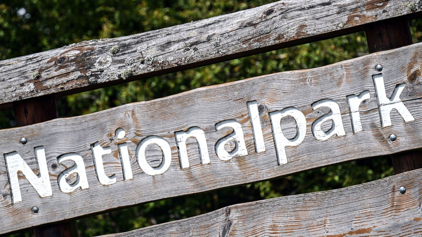 Naturschutz: Kreis nimmt neuen Anlauf für Nationalpark im Rothaargebirge