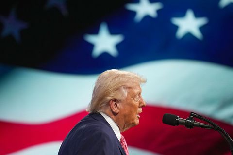 Trump kritisiert Merz. Foto: Mark Schiefelbein/AP/dpa