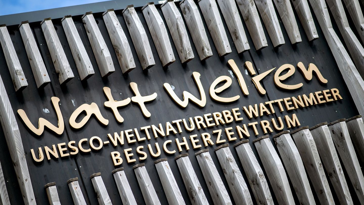 Eröffnung nach Umbau: Neue Wattenmeer-Ausstellungen auf Spiekeroog und Norderney